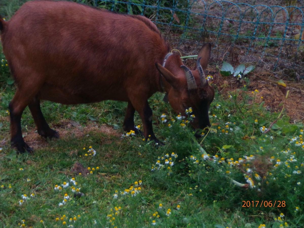 Camping Du Creulet Crouay Εξωτερικό φωτογραφία